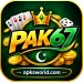 Pak67 Game