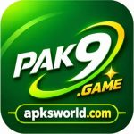 Pak9 Game
