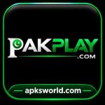 PAKPLAY Game