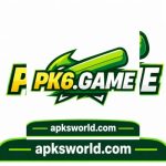 PK6 Game